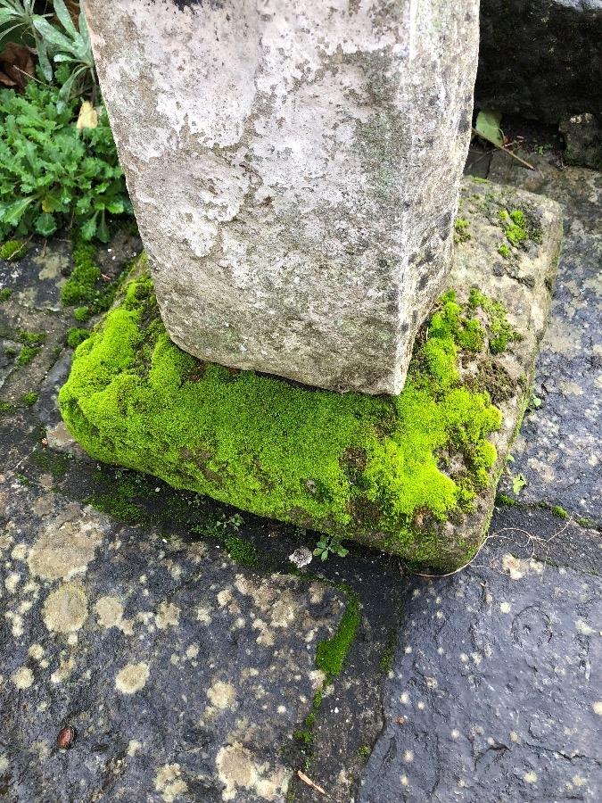 Birdbath in concrete with beautifull patine