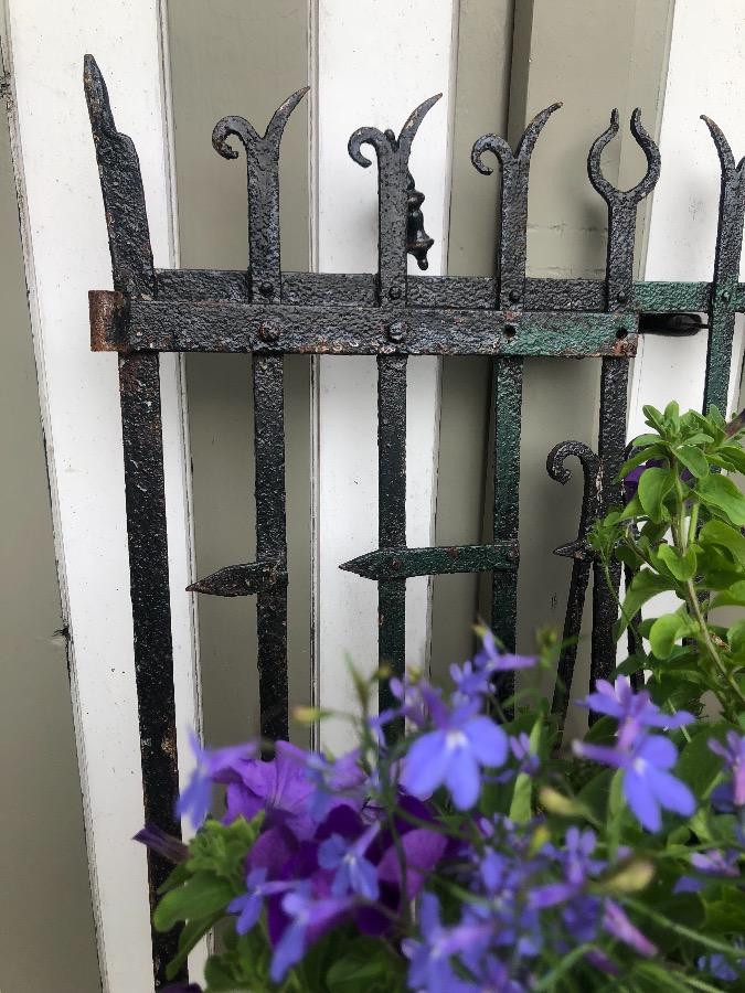 Old iron gate . 1m42 high x82 larg